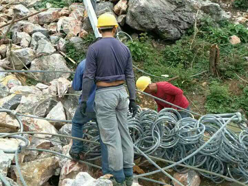 ߅·o(h)W(wng)o(h)cc߅·o(h)W(wng)b