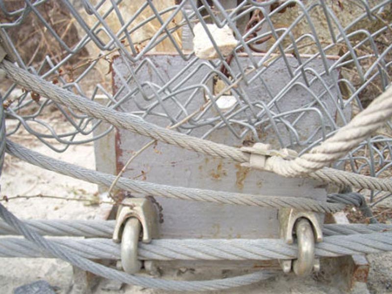 ߅·o(h)W(wng)o(h)ɽw(dng)o(h)W(wng)ɽwA(y)Ҫ